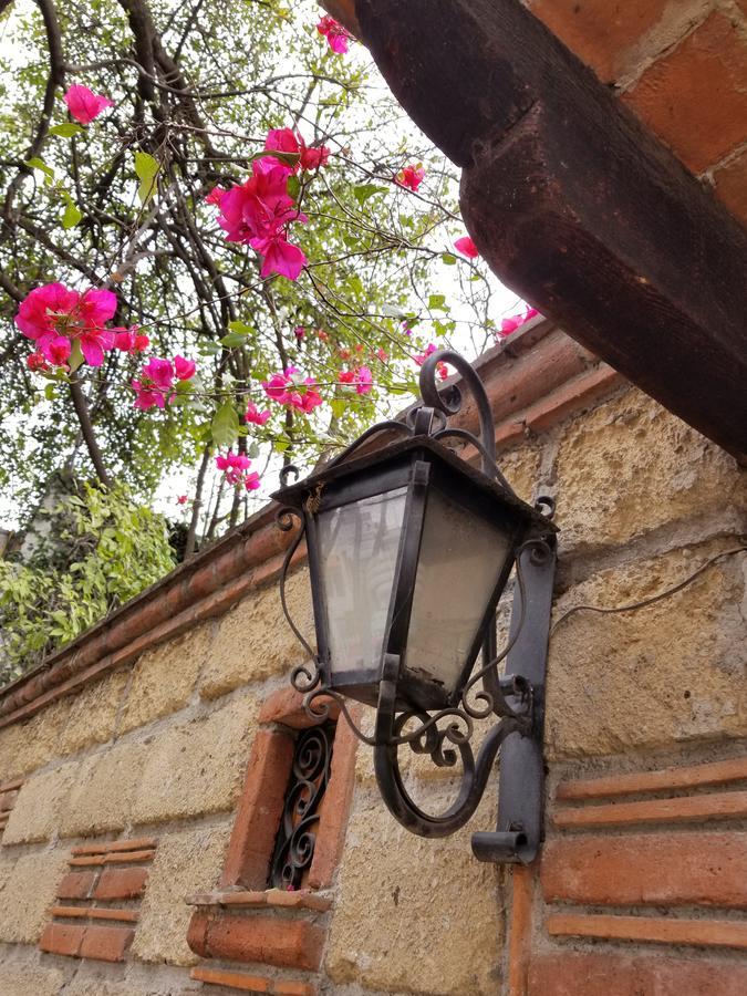 Casa Q Bnb Mexico City Exterior photo